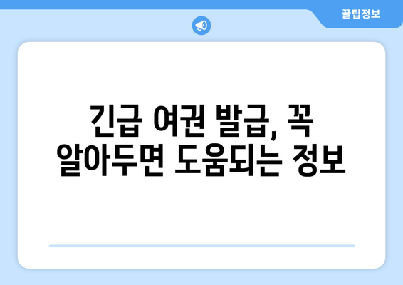 인천공항 긴급 여권 발급 가이드 | 절차, 비용, 시간