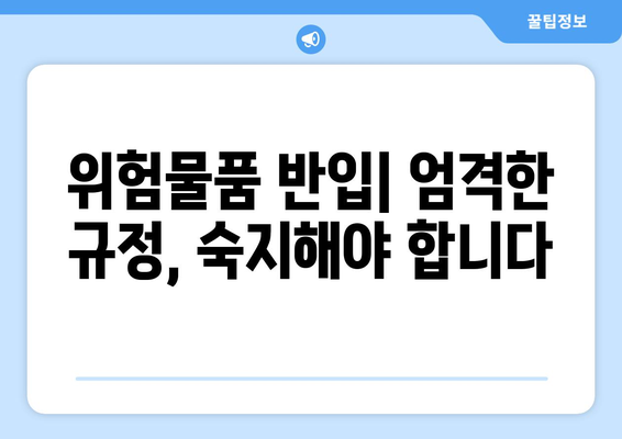 항공기 반입 규정 | 금지 물품과 허용 물질 안내