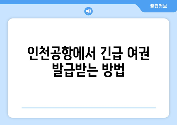 인천공항 긴급 여권 발급 가이드 | 절차, 비용, 시간