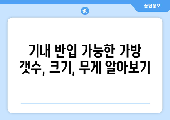 기내 반입 규정 비교 | 항공사별 허용 가방 수와 크기