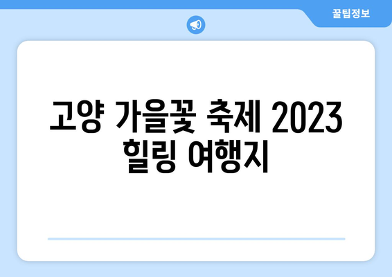 고양 가을꽃 축제 2023 | 가을을 만끽할 수 있는 힐링 여행지