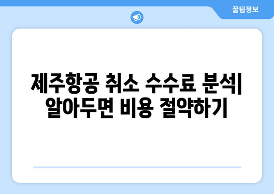 제주항공 취소수수료 분석 | 알아두면 비용 절약하기