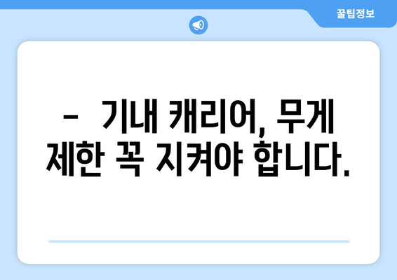 비행기 기내 캐리어 규격 및 보관 방법 총정리 | 항공사별 규정 비교