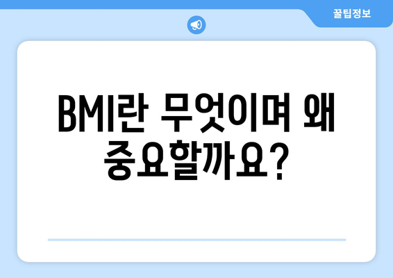 BMI 수치 분석 | 건강한 체중 파악을 위한 필수 가이드