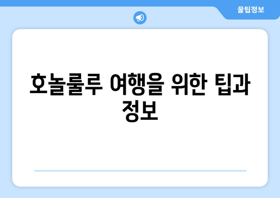 호놀룰루 여행을 위한 지도, 위치, 날씨 정보