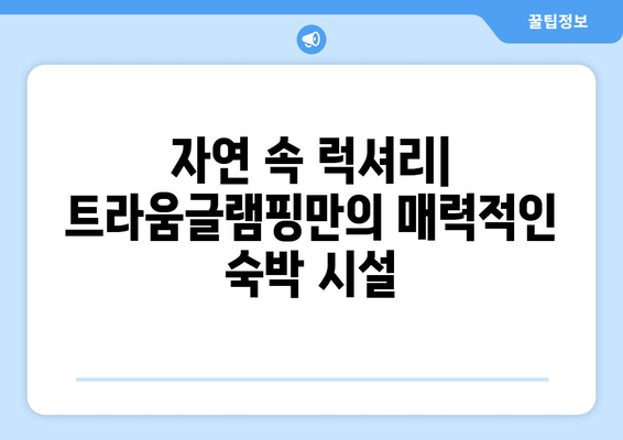 가평트라움글램핑 | 독특한 숙박 경험의 특징, 가격, 예약 방법