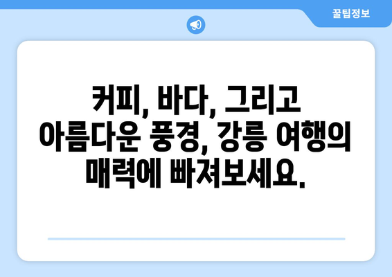 강릉에서 가볼 만한 베스트 10곳 | 동해안의 숨겨진 보석을 발견하세요