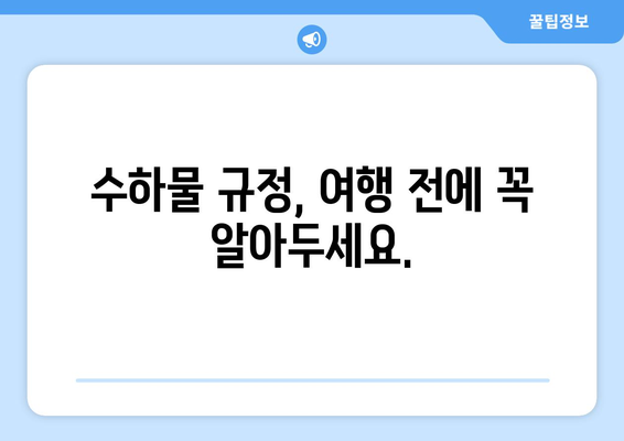 기내 반입 가능 의약품과 수하물 규정 | 안전한 여행을 위한 지침