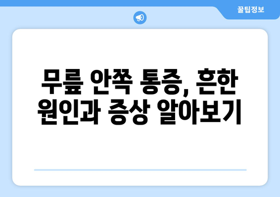 무릎 안쪽 통증의 원인 파헤치기와 대처법