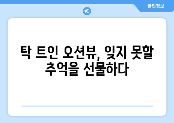 부산 해운대의 고급스러운 숙박 시설 | 엘시티 레지던스 와이컬렉션