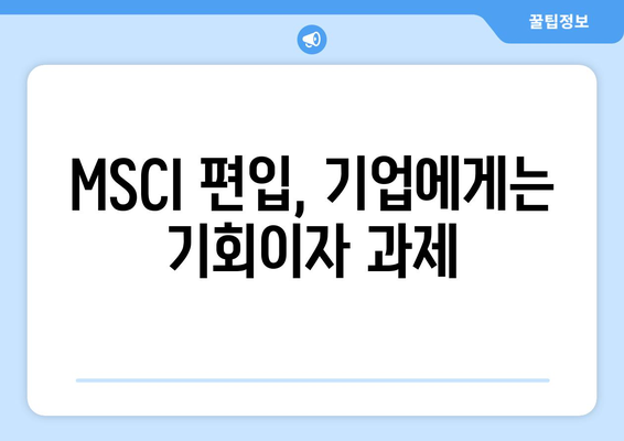 MSCI 편입 | 증시에 미치는 영향과 공매도의 관계