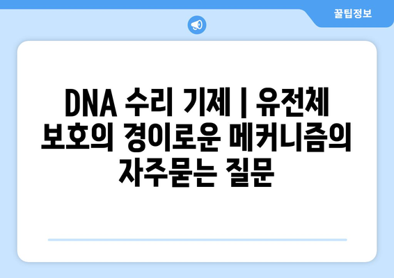 DNA 수리 기제 | 유전체 보호의 경이로운 메커니즘