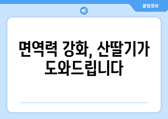 산딸기의 놀라운 효능으로 건강 유지하기