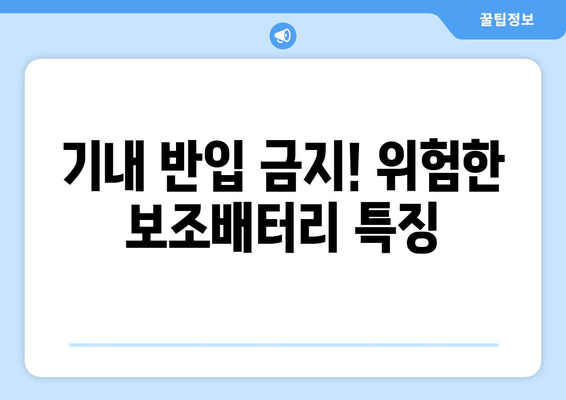 비행기 기내 보조배터리 반입 허용 개수와 용량 | 항공사별 규정 모음