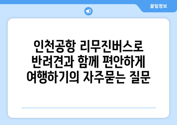 인천공항 리무진버스로 반려견과 함께 편안하게 여행하기