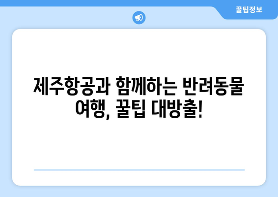 제주항공 반려동물 탑승 방법 | 안전하고 편안하게 여행