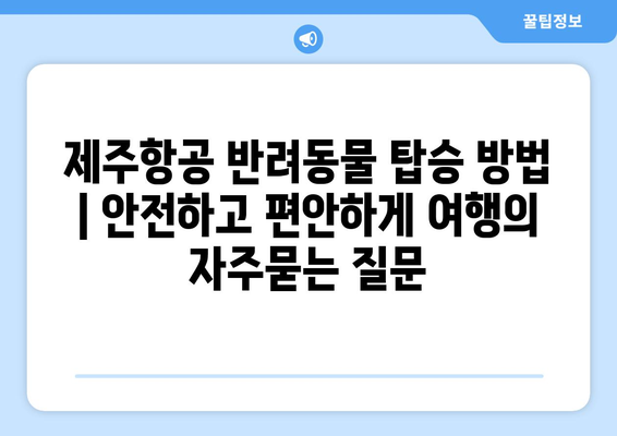 제주항공 반려동물 탑승 방법 | 안전하고 편안하게 여행