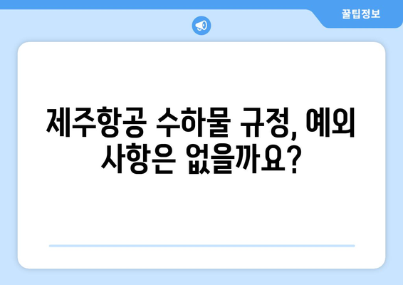 제주항공 수화물 무게 제한 | 모든 것이 다 알아보기