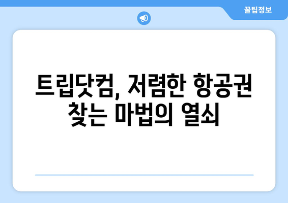 저렴한 항공권 예약 비법과 트립닷컴 추천 꿀팁