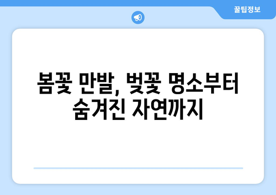 매력적인 일본 | 계절별 추천 여행지 탐방