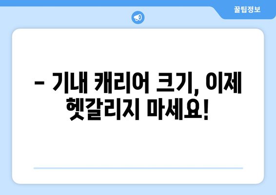 기내 캐리어 가이드 | 2024년 최신 규정 및 크기 총정리