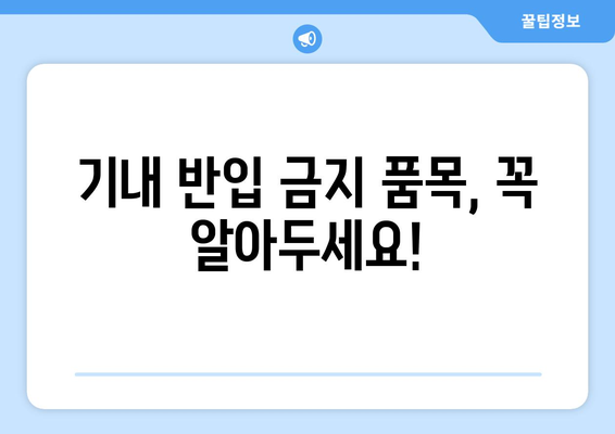 기내 수하물 반입 규정 자주 묻는 질문과 답변