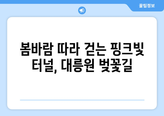 경주 대릉원 벚꽃길을 따라가는 경주 산책 투어