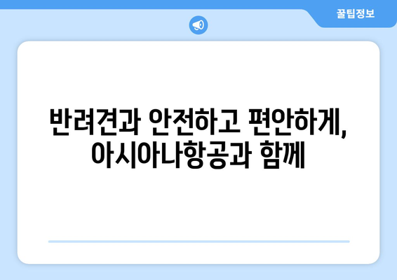 아시아나항공 반려견 운송 | 함께 하는 여행 즐기기