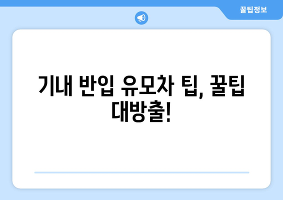 기내 반입 가능한 유모차 크기 및 종류 | 안전하고 편안한 비행을 위한 필수 정보