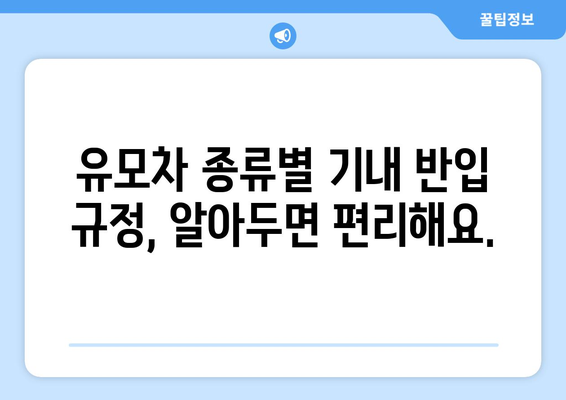 기내 반입 가능한 유모차 크기 및 종류 | 안전하고 편안한 비행을 위한 필수 정보