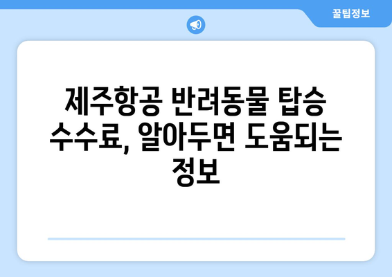 제주항공 반려동물 탑승 방법 | 안전하고 편안하게 여행