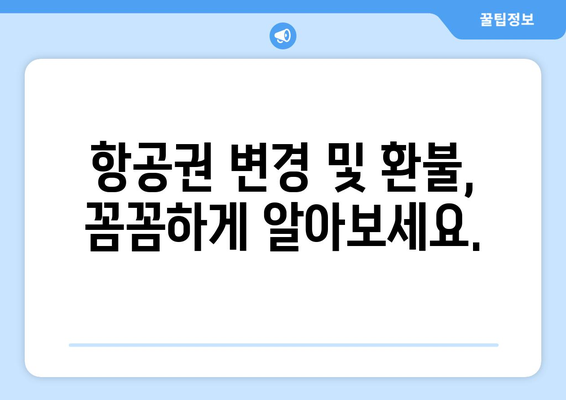 결항 선제 대비법 | 비행기 결항 확인 및 대처 가이드