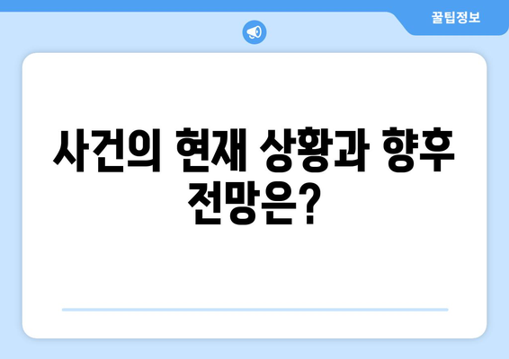 시더스 그룹 사기 사건 개요 | 이해하기 쉽게 정리