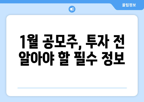 1월 공모주 청약 일정 | 투자를 위한 필독 가이드