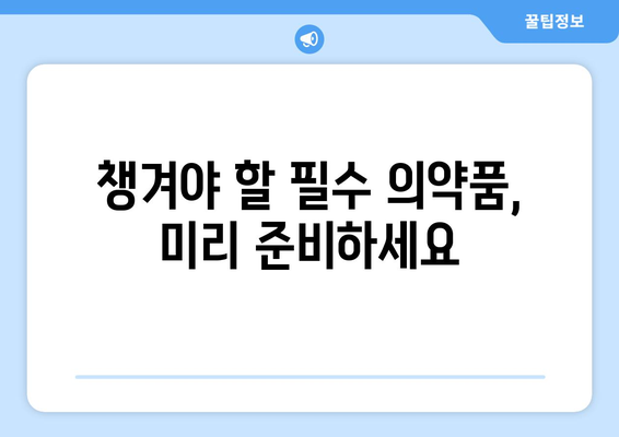 기내 반입 가능 의약품과 수하물 규정 | 안전한 여행을 위한 지침