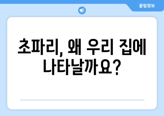 초파리 생기는 이유와 퇴치 방법 | 트랩까지 다 알려주는 완벽한 가이드