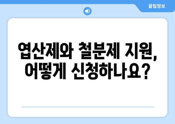 임산부 엽산제 철분제 지원 | 2024년 안내 및 신청 방법