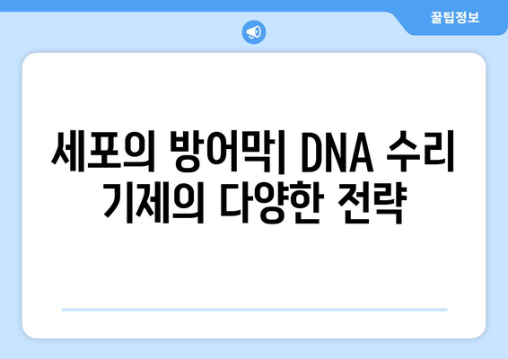 DNA 수리 기제 | 유전체 보호의 경이로운 메커니즘