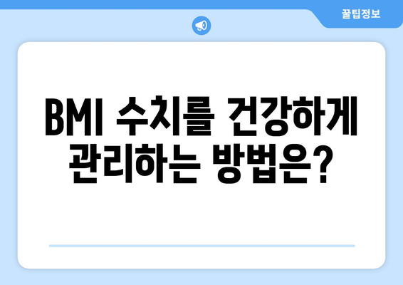 BMI 수치 분석 | 건강한 체중 파악을 위한 필수 가이드