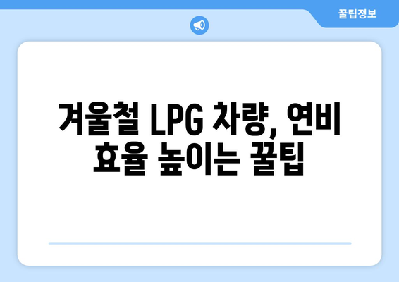 LPG 차량을 위한 필수품 | 겨울철 안전 운전에 대비하세요