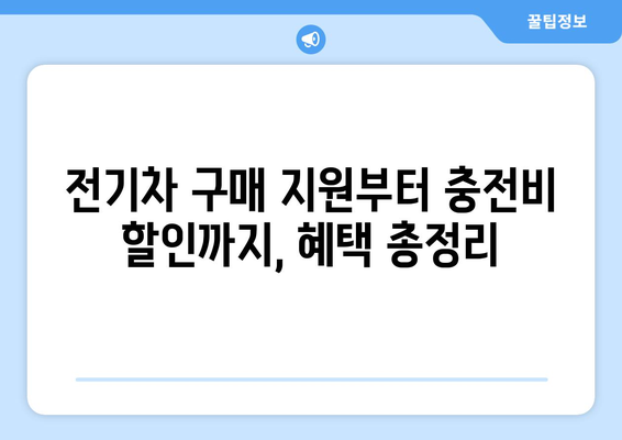 전기차 충전을 위한 정부 지원책 안내 | 홈 충전부터 공공 충전소까지