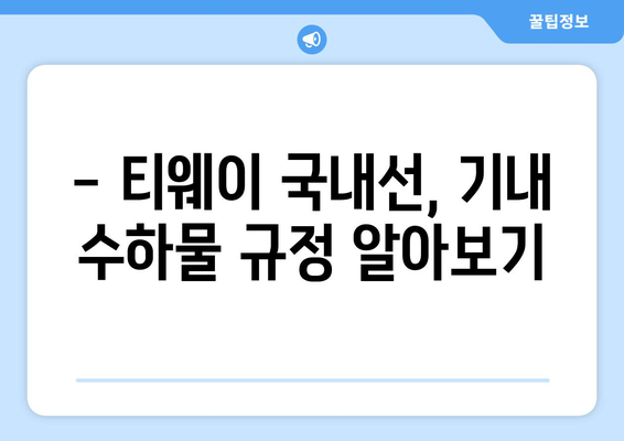 티웨이 국내선 수하물 가이드 | 짐 걱정 끝내는 법