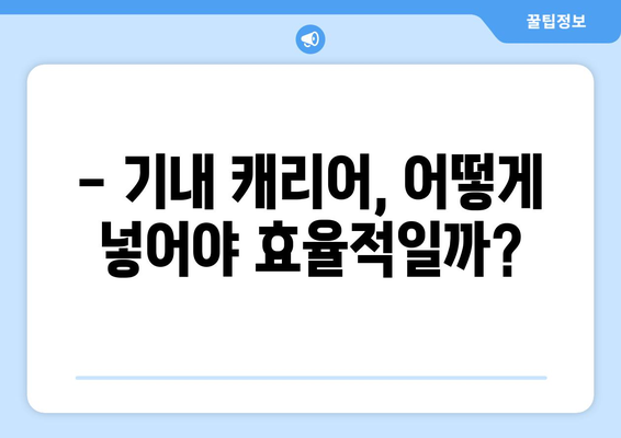 비행기 기내 캐리어 규격 및 보관 방법 총정리 | 항공사별 규정 비교