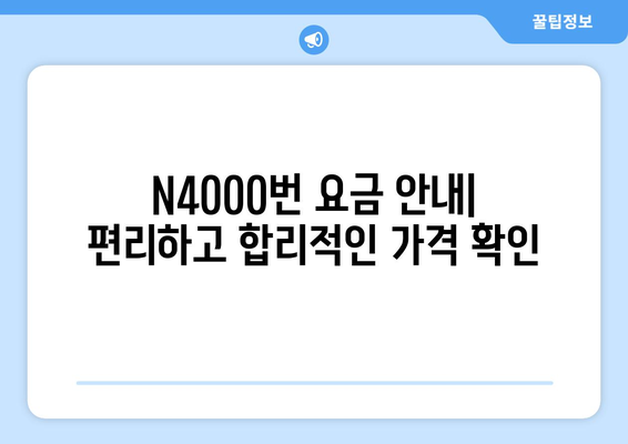 공항버스 N4000번 | 시간표, 운행 정보, 노선 안내