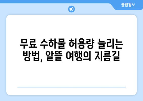 제주항공 캐리어 무게 제한 꿀팁 | 안전하고 편한 여행을 위한 규정 이해하기