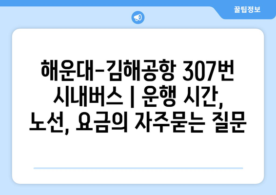 해운대-김해공항 307번 시내버스 | 운행 시간, 노선, 요금