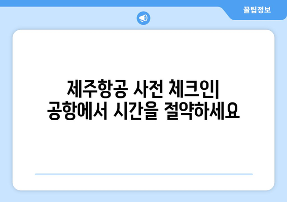 제주항공 사전체크인 가이드 | 공항 줄 서기를 피하세요