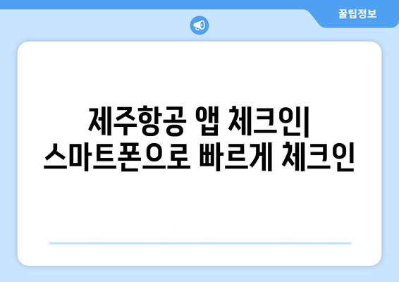 제주항공 사전체크인 가이드 | 공항 줄 서기를 피하세요