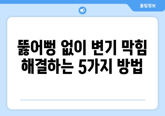 변기 막힘 대처 가이드 | 뚫어뻥 없는 해결책