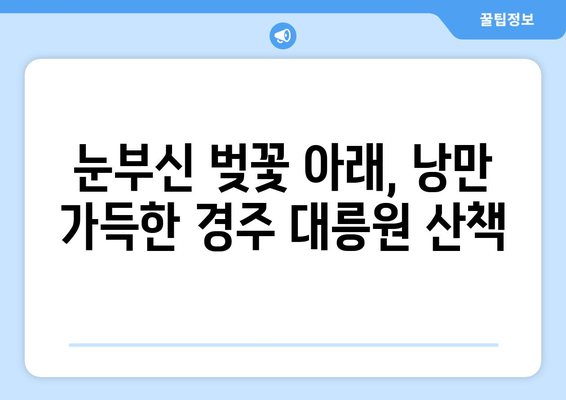 경주 대릉원 벚꽃길을 따라가는 경주 산책 투어